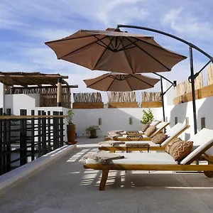 Zebrakaro Marrakesh