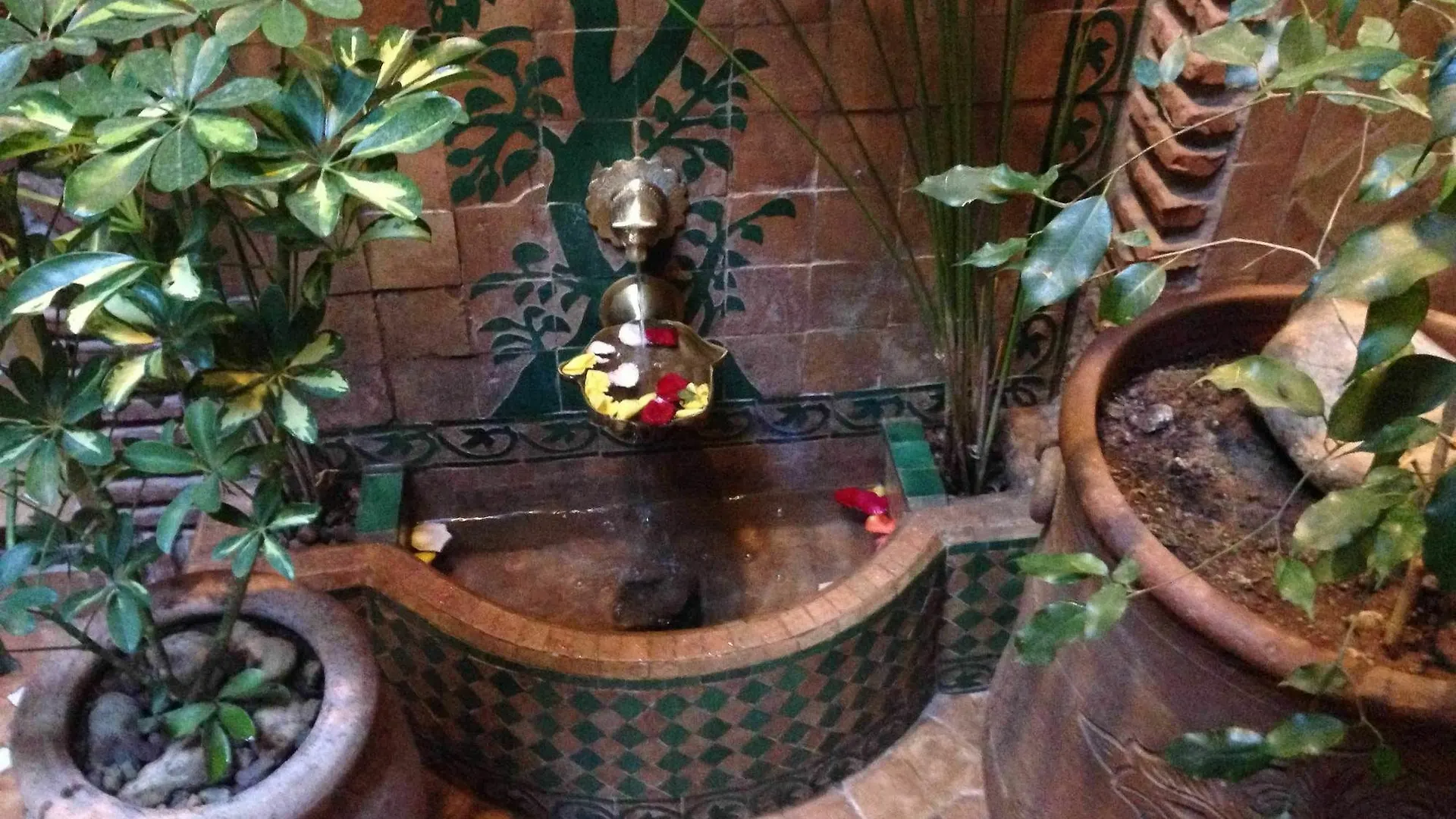 Riad Laith (Adults Only) Marrakesh